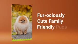 🍂  Fall Into Puppy Love At Petland Las Vegas