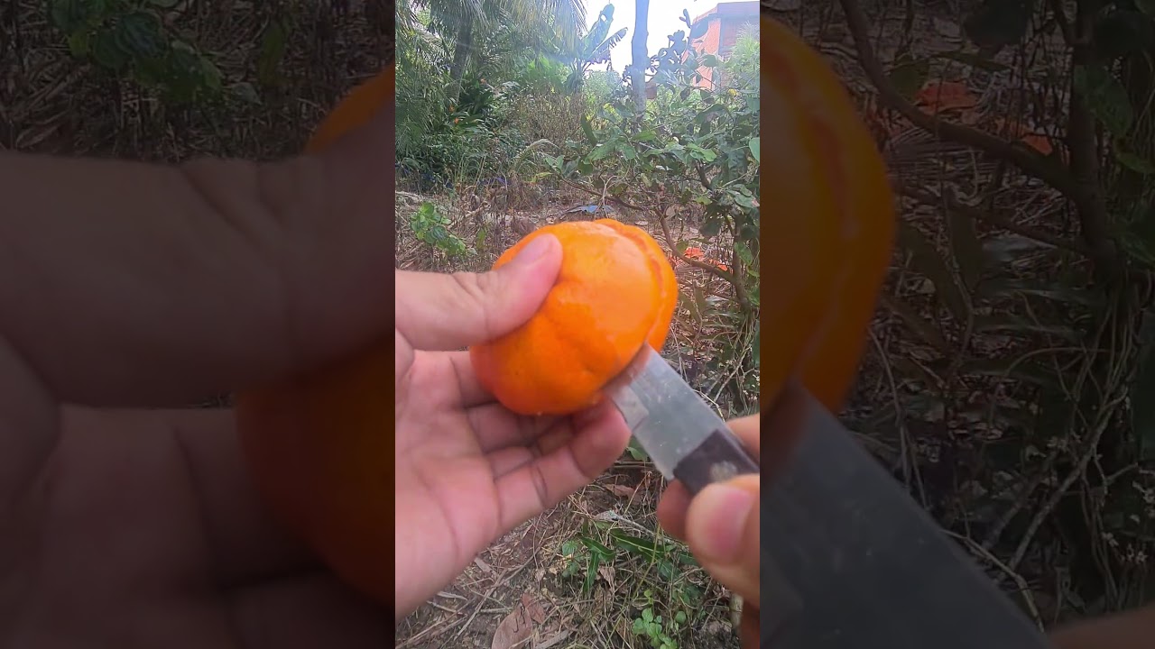 Enjoy beautiful natural life 