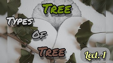 Tree in Graph theory | Tree |Types of trees | Rooted tree