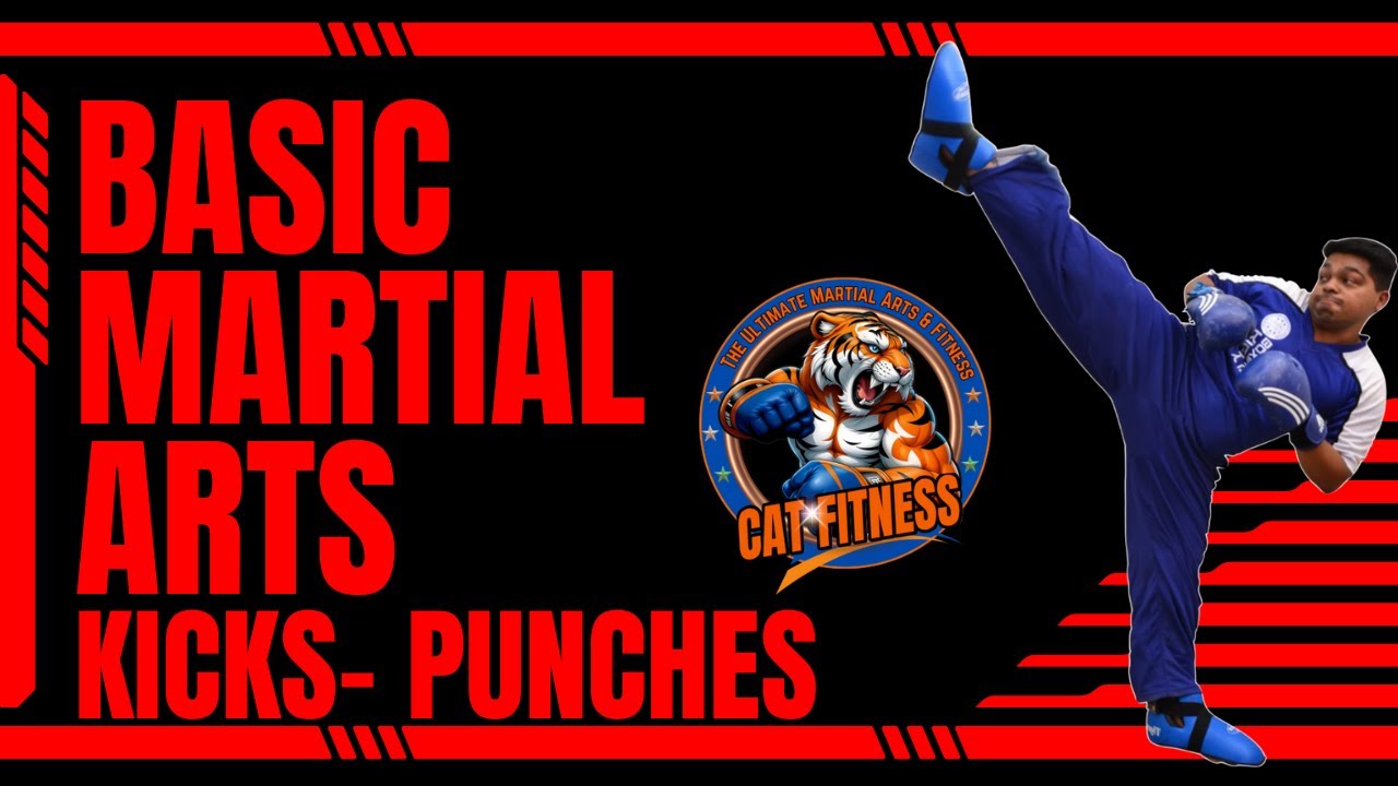Martial Basic & advance kick- punching / Kick & Punching for self ...