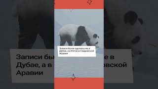 В ДУБАЕ ВЫПАЛ СНЕГ I СНЕГОПАД В ДУБАЕ СНЯЛИ НА ВИДЕО I РАЗБОР РОЛИКА ПРО ДУБАЙ