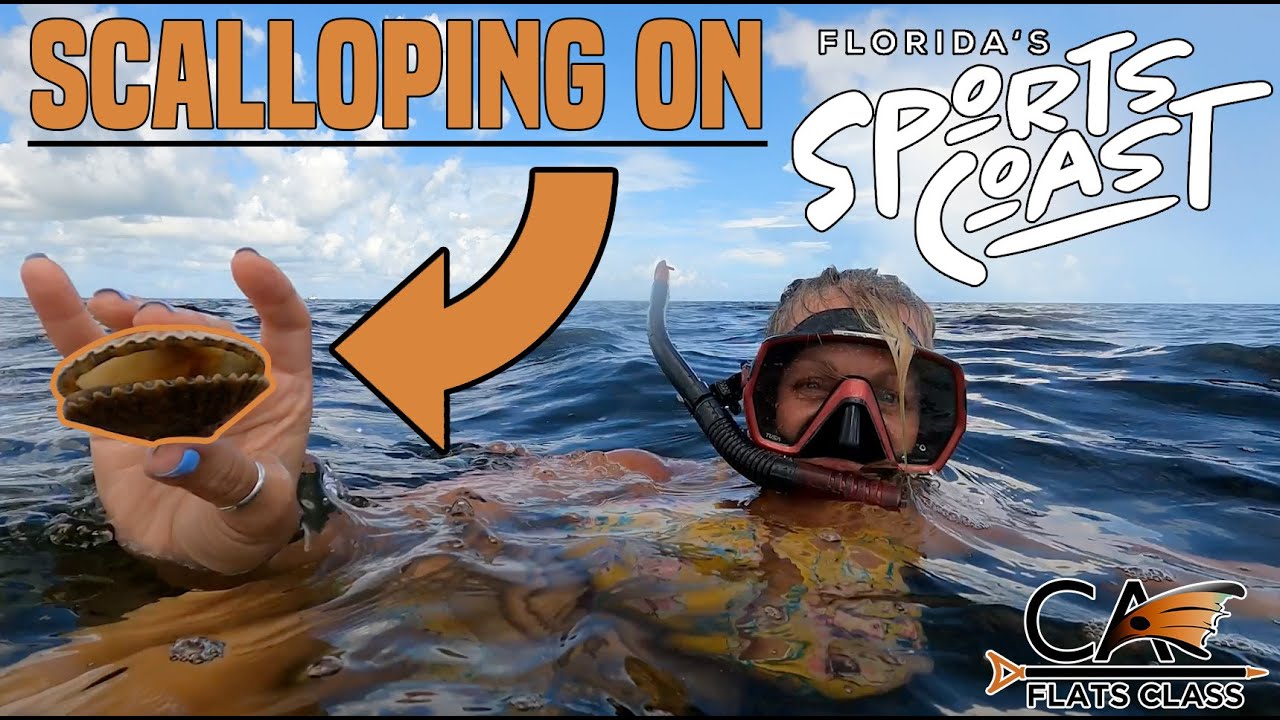 Scalloping On Florida's Sports Coast! | Flats Class YouTube