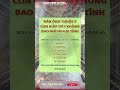 Sức Mạnh Tiềm Ẩn Của Nhân Mệnh Hòa Hợp: Hé Lộ Cách Thu Hút May Mắn Tình Duyên