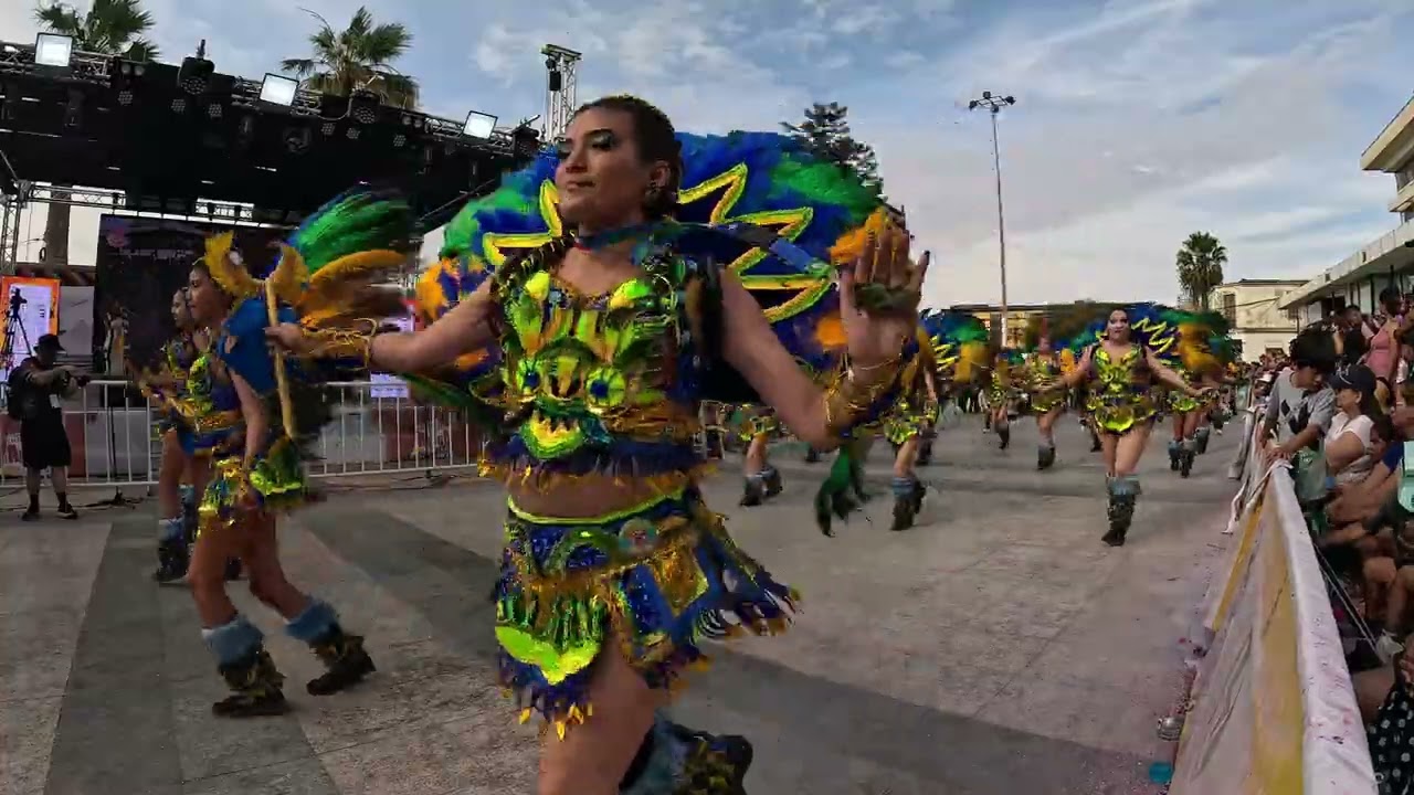 TOBAS GIGANTES ALADOS - CARNAVAL CON LA FUERZA DEL SOL ARICA 2026