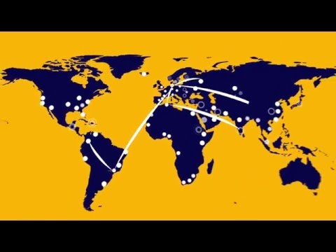 Lufthansa Cargo Network-on-demand