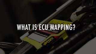 Celebrity Mapping ECUs - Jamie Ellis from Twisted Development Wealth