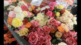 Cheap Flowers Bouquets #sydney #flowermarket  #australia  #2023 | Sydney Flower Market FLEMINGTON
