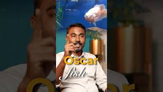 Oscar Fish A.k.a The Rocky Bhai