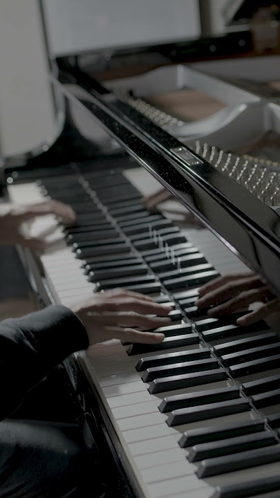 Binary Data IV, for real-time delays (#piano #disklavier #delay #music)