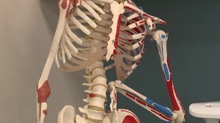 What does rehab for an injury like Aaron Rodgers look like