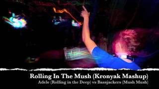 Rolling In The Mush kronyak Mash Adele Vs Bassjackers