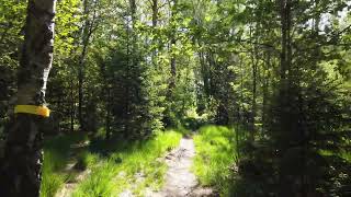 Why Dont Developers Maintain Both A Readable Code Base And A Heavily Optimized One?