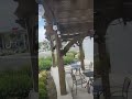 A lovely pergola to eat lunch under.