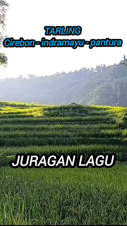 JUARANYA TARLING CIREBONAN #tarlingcirebonan #tarlingpantura #tarlingviral