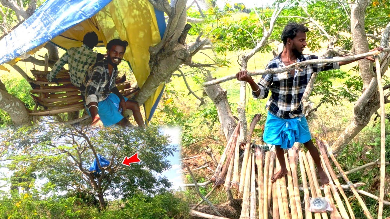  Build A Tree House at Forest..! Amazing jungle Tree house 