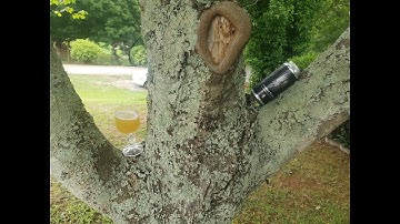 Widowmaker Brewing - Fermenter Worship