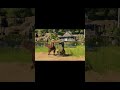 Austroraptor revealed for Jurassic World Evolution 3