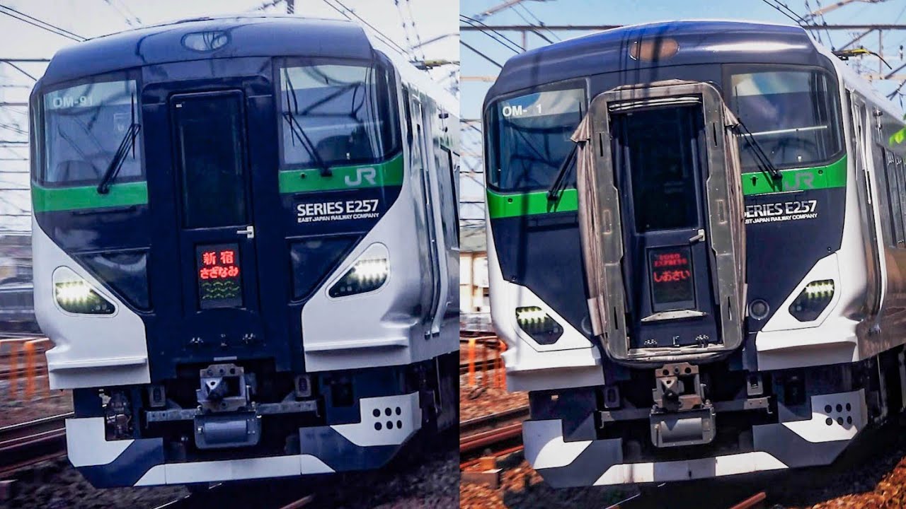 2022年GWもE257系5000/5500番台で運転 新宿さざなみ1号4号・しおさい81