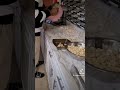 Njia Rahisi Ya Kumenya Thomu Garlic Tutorial Short Tajiriskitchen Garlic Onions 