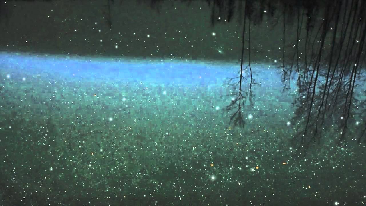 Brutal Savage Violent - 'Red Giant' Lyric Video