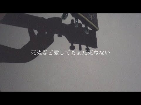 snsを愛してる/Rin音 弾き語りcover