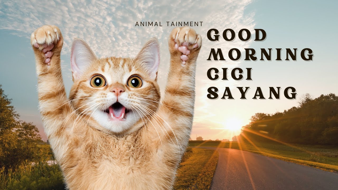 Selamat Pagi, Cici Sayang! 