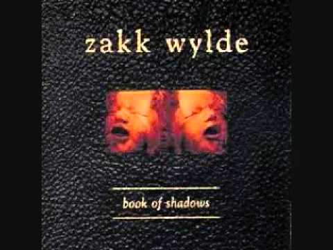 Zakk Wylde — Zakk Wylde - Way Beyond Empty.wmv