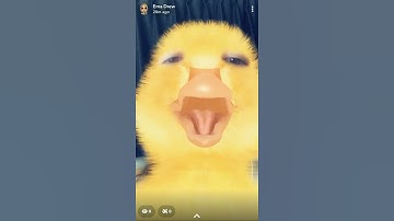 A Duck Sings The Duck Song
