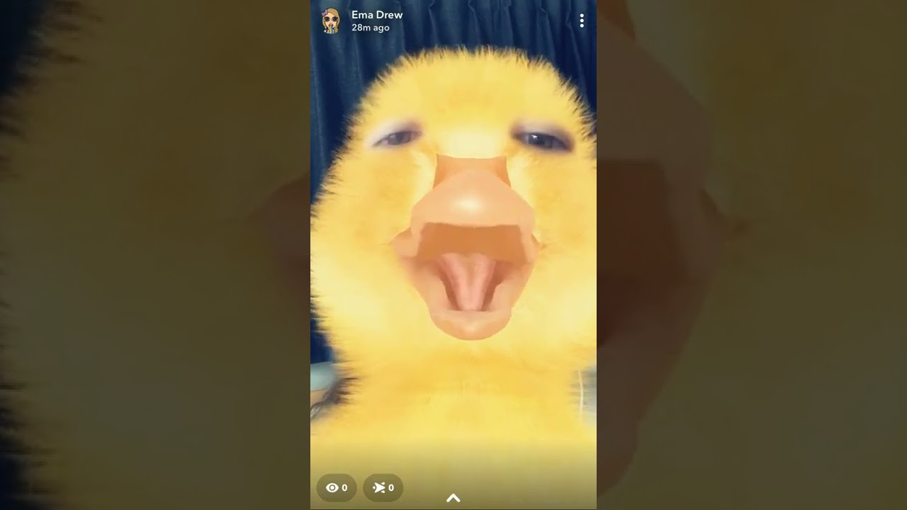 A Duck Sings The Duck Song