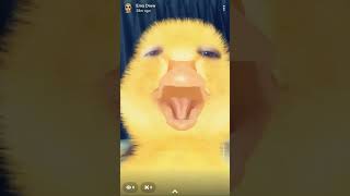 A Duck Sings The Duck Song