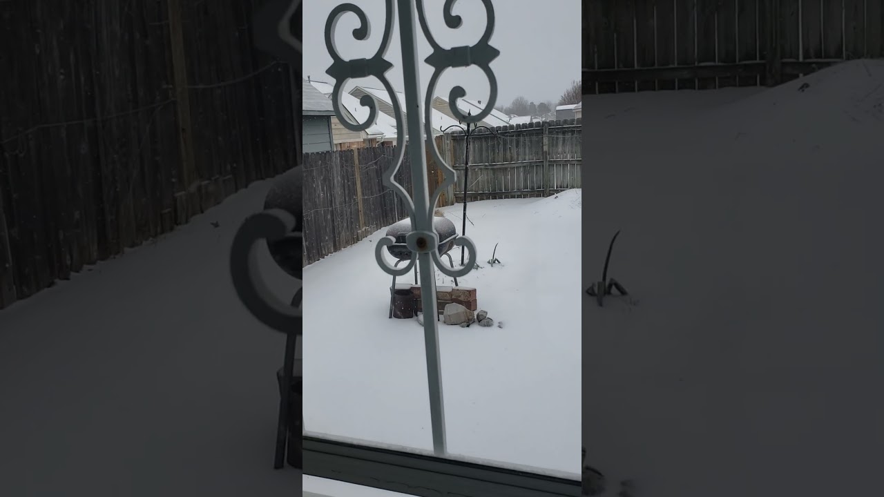 Piratesnowday report | Southaven, MS 1-25-2026