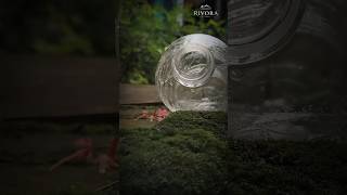 Water Bottle Se Magical Nature Reel Tutorial 🌿💧