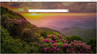 study with me! freeCodeCampやります #8
