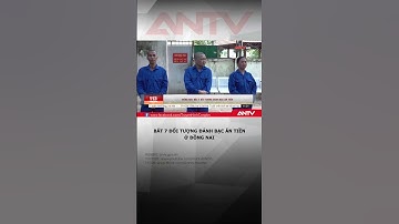 Bắt quả tang 7 đối tượng trên đang đánh bạc ăn tiền #antv #shots #dongnai #danhbac #cobac