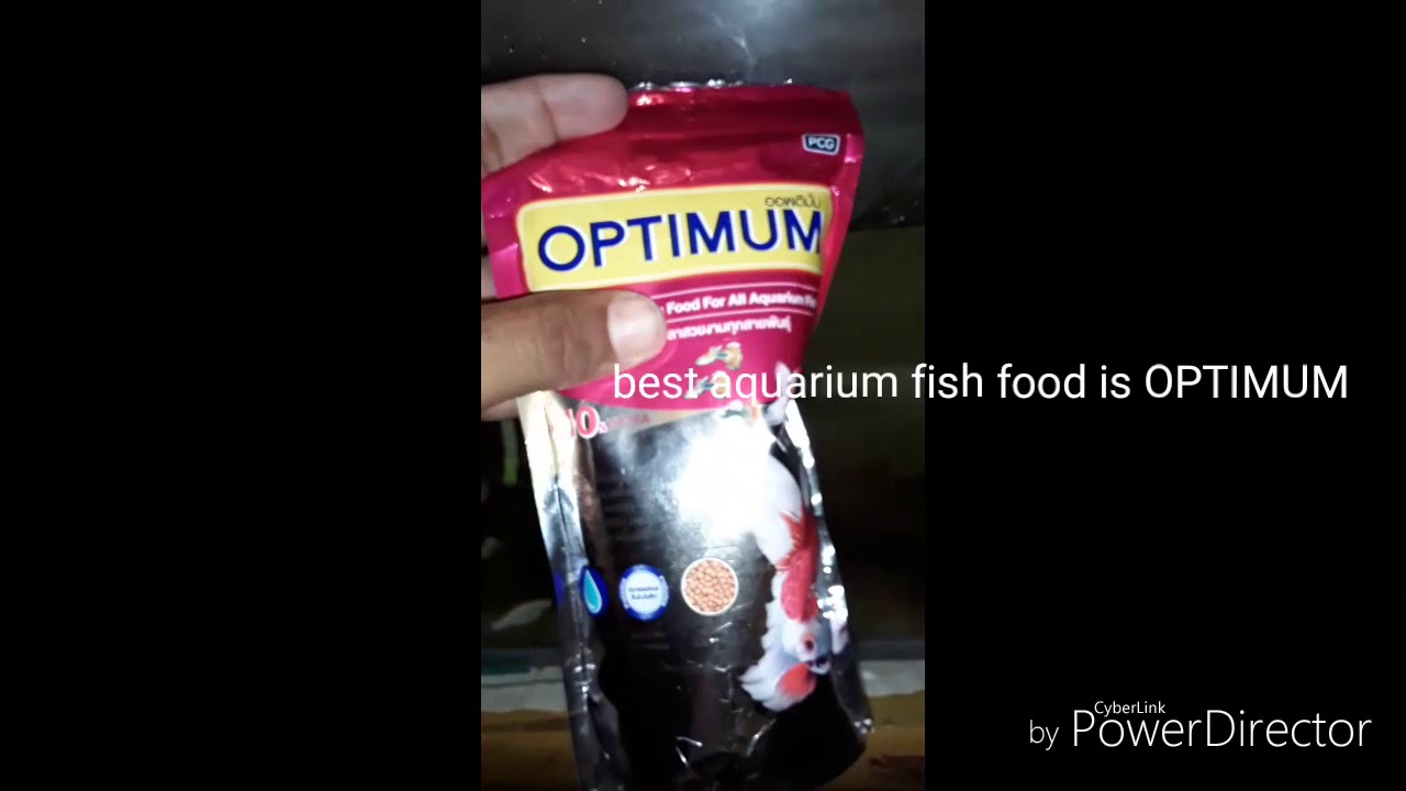 Optimum fish food best YouTube