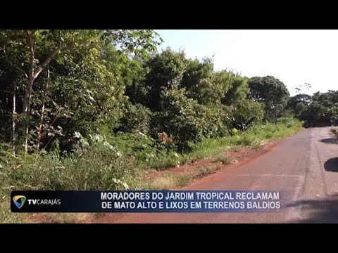 Moradores do jardim Tropical reclamam de mato alto e lixos em terrenos baldios