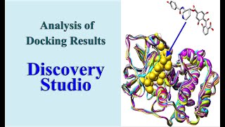 Molecular Docking│Tutorial (MD-7): Analysis of Docking Results Using BIOVIA Discovery Studio.