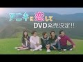 台湾ドラマ「アニキに恋して」 DVD発売告知CM