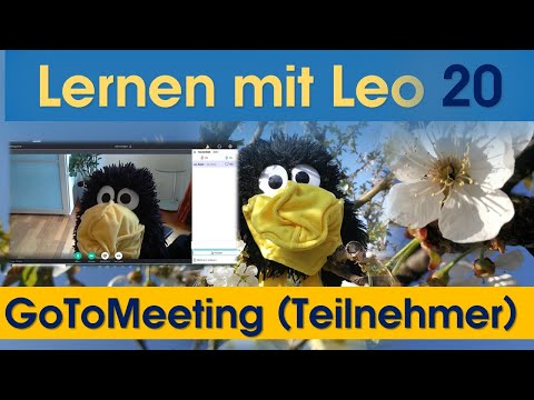 #GotoMeeting #für Teilnehmer #Schüler #Wie geht das? #Videokonferenz #Lernen mit Leo 20