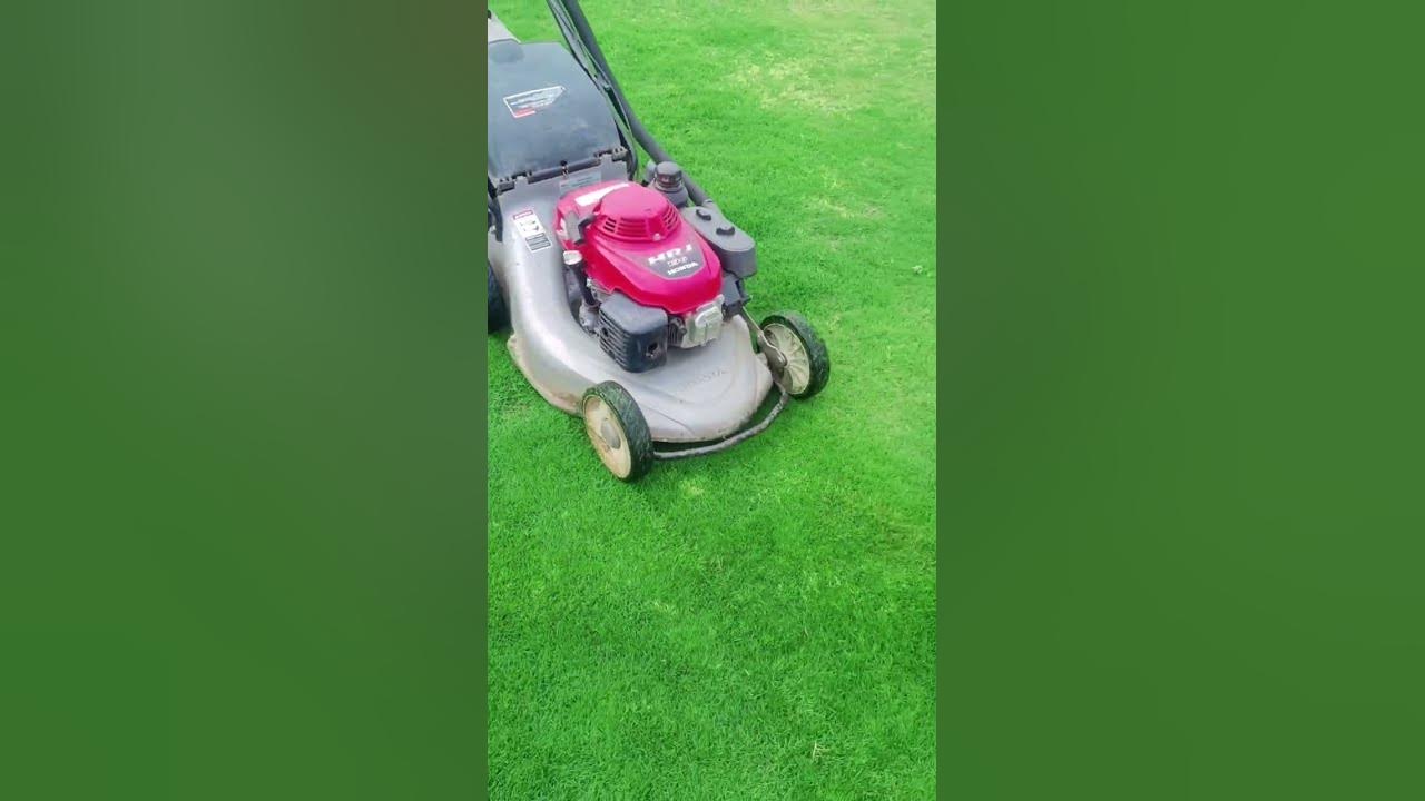 how-to-cut-lawn-using-mower-machine-lawn-grass-cutting-youtube