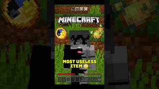 Minecraft ki Sabse USELESS Item? 💀 (Poison Potato Nahi 😳)