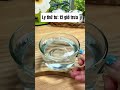 Bạn đã uống nước đúng cách chưa? #nuoc #water #coc #cocnuoc