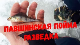 Павшинская Пойма, рыбалка на Москве реке январь 2019