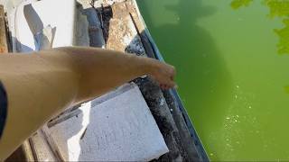 THIS POOL RENOVATION COULD BE TRICKY #swimmingpool #renovation #walkthrough