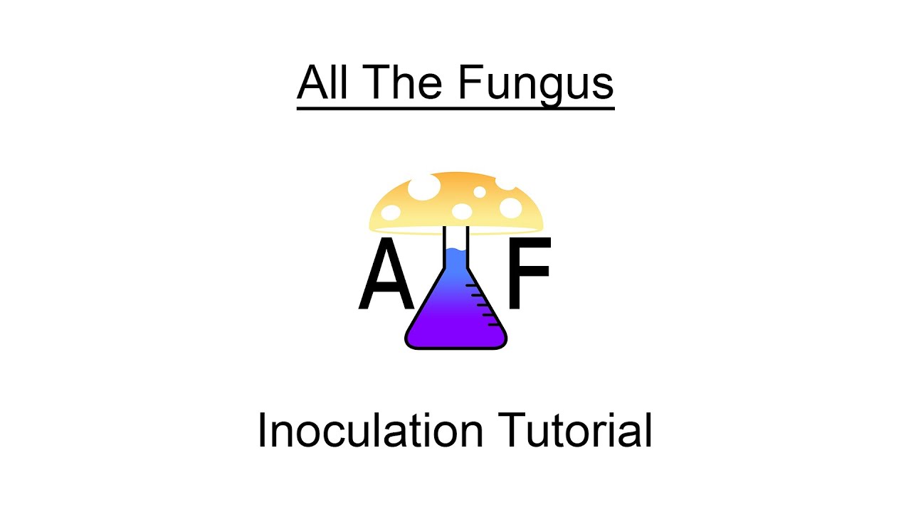 All The Fungus Tutorial: Inoculation - YouTube