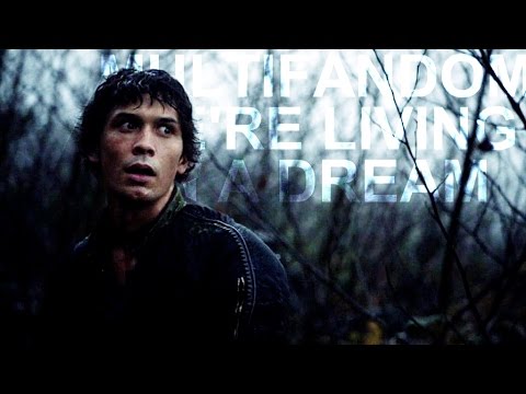 Multifandom | This isn't real