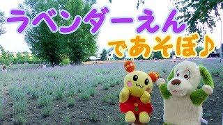 いないいないばあっ! ワンワン &うーたんとラベンダー畑であそぼう! 赤ちゃん 泣きやむ よろこぶ わーお いないいないばあっ! ワンワン &うーたんとラベンダー畑であそぼう! 赤ちゃん 泣きやむ よろこぶ わーお