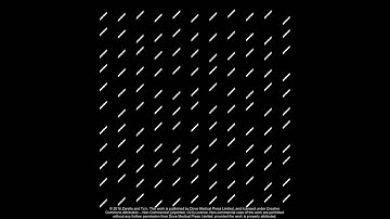 Feature-specific contextual modulation of V1 and V2 neurons - Supplementary V1 [105616]