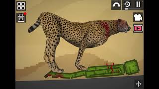 Cheetah chase screenshot 5