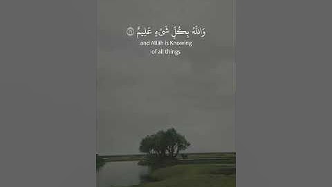 قالت الأعراب آمنا قل لم تؤمنوا ولكن قولوا أسلمنا الحجرات : 14 - 18 ] القارئ محمد هشام[